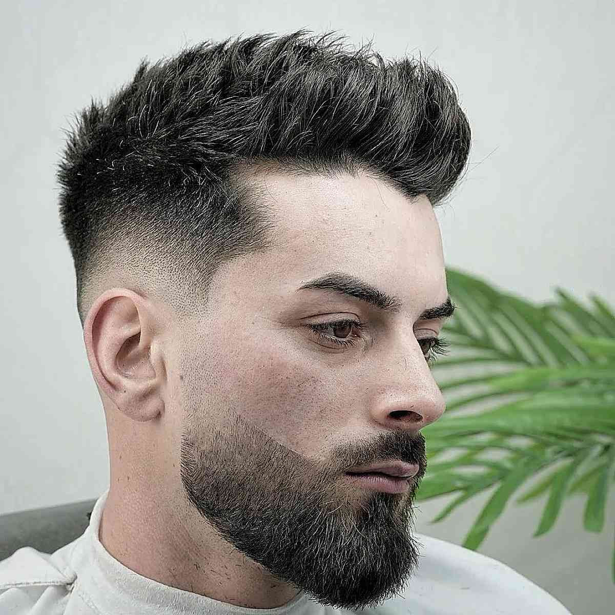 Modern Cut